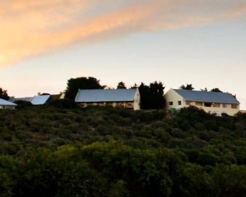 Kududu Guest Farm - Accommodation near Addo Elephant Park